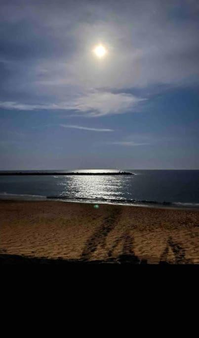 Studio Climatise Proche De Montpellier Et Des Plages Villeneuve-lès-Maguelone Extérieur photo